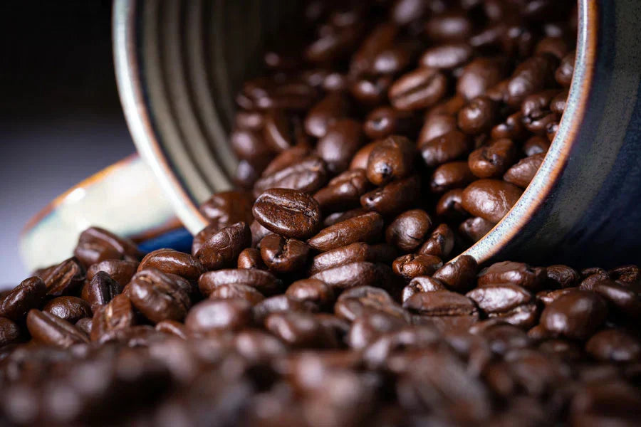 Decaf Coffee and The Swiss Water Process