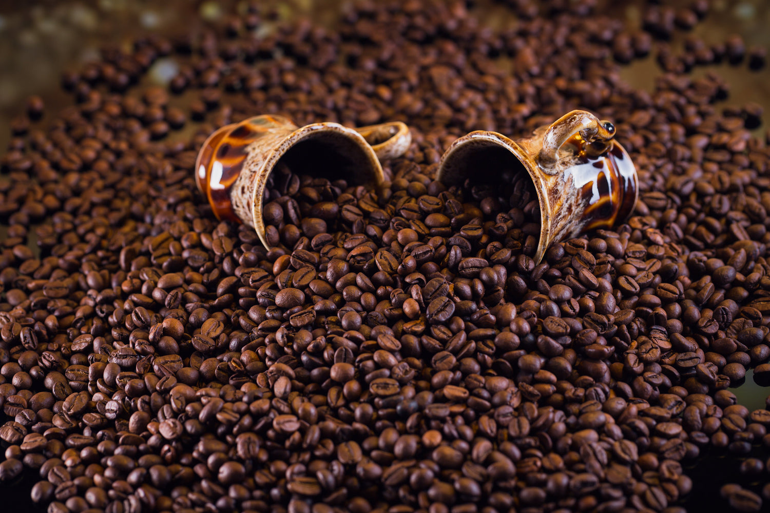 Freshly Roasted Coffee Beans: How Roast Timing Affects Flavor
