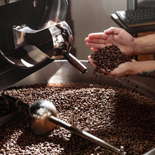 Freshly Roasted Coffee Beans: How Roast Timing Affects Flavor